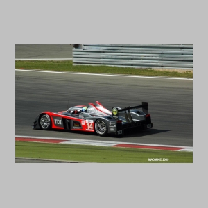 DSC_2145.JPG